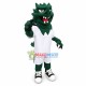 Green Dragon School Mascot Costume Green Dragon School Mascot Costume