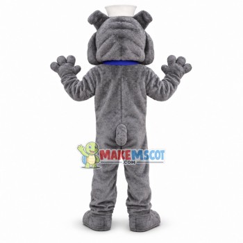 Sailor Grey Bulldog Mascot Costume Sailor Grey Bulldog Mascot Costume
