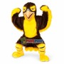 Falcon Elementary School Mascot Costume 