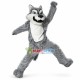 Willie the Wolf High School Mascot Costume Willie the Wolf High School Mascot Costume