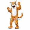 Willie the Wildcat High School Mascot Costume 