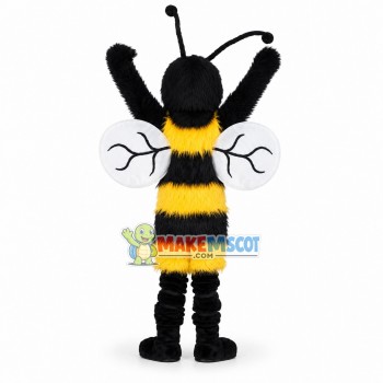 Hornet Middle School Mascot Costume Hornet Middle School Mascot Costume