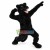 Black Panther High School Mascot Costume 