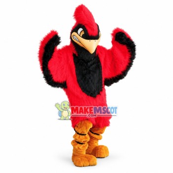 Cardinal Middle School Mascot Costume Cardinal Middle School Mascot Costume