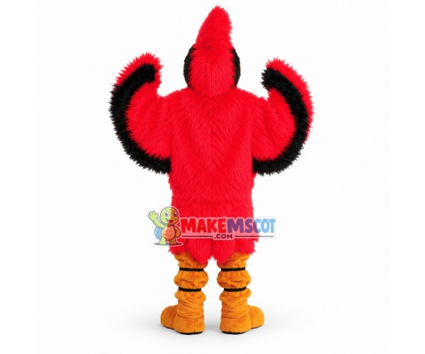 Cardinal Middle School Mascot Costume Cardinal Middle School Mascot Costume