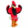 Cardinal Middle School Mascot Costume 