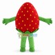 Adult Cartoon Strawberry Man Mascot Costume Adult Cartoon Strawberry Man Mascot Costume