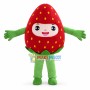 Adult Cartoon Strawberry Man Mascot Costume 