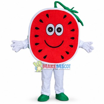 Adult Cartoon Round Slice Of Watermelon Mascot Costume Adult Cartoon Round Slice Of Watermelon Mascot Costume