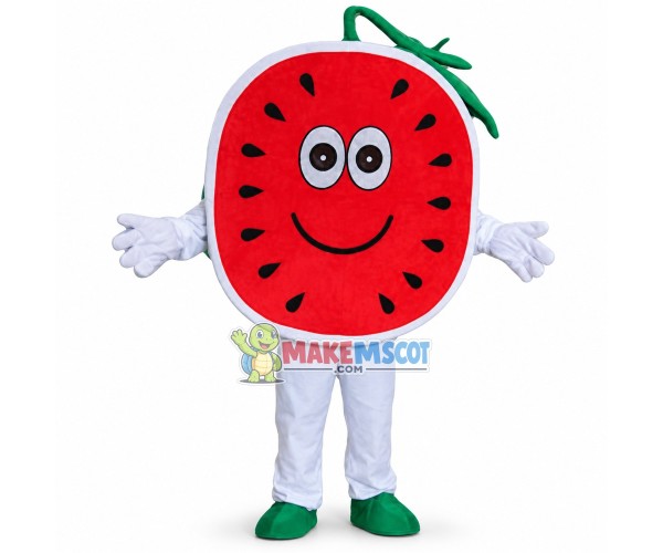 Adult Cartoon Round Slice Of Watermelon Mascot Costume Adult Cartoon Round Slice Of Watermelon Mascot Costume