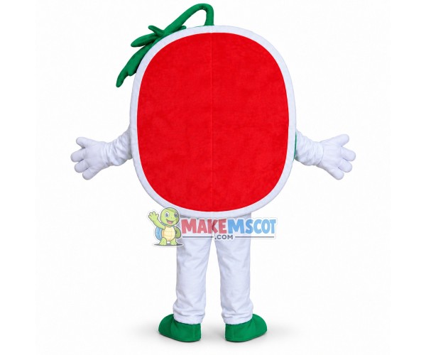 Adult Cartoon Round Slice Of Watermelon Mascot Costume 