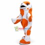 America Koi Fish Mascot Costume 