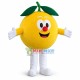 Cartoon Yellow Orange With Red Nose Mascot Costume Cartoon Yellow Orange With Red Nose Mascot Costume