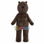 Frowning Brown Bear Mascot Costume For adult