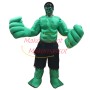 Super Hero Hulk Mascot Costume	