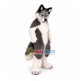 Friendly Wolf Mascot Costume