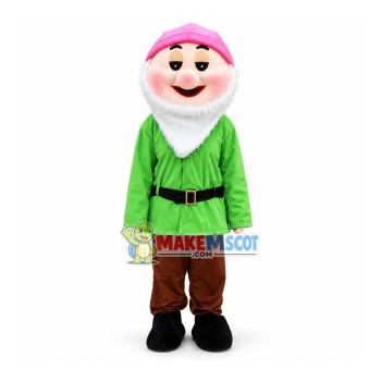 Green Dwarf Mascot Costume Green Dwarf Mascot Costume